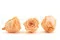 Rose stabilis&eacute;e XL P&ecirc;che (x5) 5