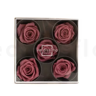 Rosa stabilizzata XL Cherry Vintage (x5)