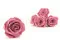 Rose stabilis&eacute;e XL Cherry Vintage (x5) 9