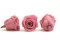 Rose stabilis&eacute;e XL Cherry Vintage (x5) 5