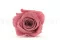 Rose stabilis&eacute;e XL Cherry Vintage (x5) 8