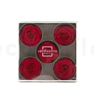 Rosa stabilizzata XL Rosso (x5)