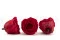 Rosa preservada XL Rojo (x5) 5