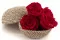 Preserved Rose XL Red (x5) 2