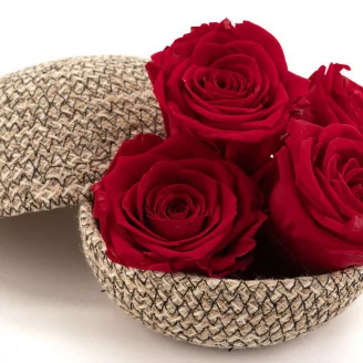 Rose stabilis&eacute;e XL Rouge (x5)