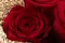 Preserved Rose XL Red (x5) 3