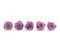 Rose stabilis&eacute;e XL Lilas (x5) 4