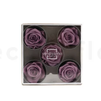 Rosa stabilizzata XL Lilla (x5)