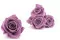 Rosa preservada XL Lila (x5) 7