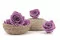 Rosa preservada XL Lila (x5) 8