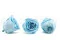 Rose stabilis&eacute;e XL Bleu Clair (x5) 5