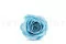 Konservierte Rose XL Hellblau (x5) 8