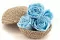 Preserved Rose XL Light Blue (x5) 2
