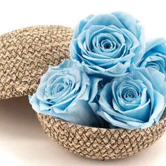 Konservierte Rose XL Hellblau (x5)
