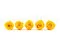 Konservierte Rose XL Warm Yellow (x5) 4