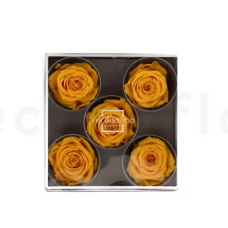Konservierte Rose XL Warm Yellow (x5)