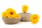 Rose stabilis&eacute;e XL Warm Yellow (x5) 7