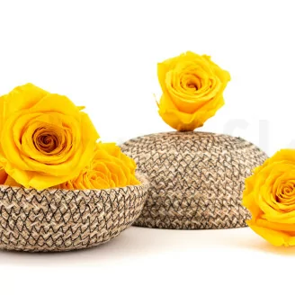 Konservierte Rose XL Warm Yellow (x5)