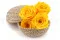 Konservierte Rose XL Warm Yellow (x5) 2