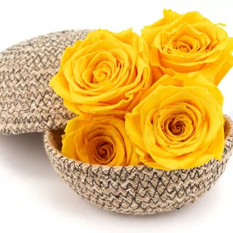 Rosa stabilizzata XL Warm Yellow (x5)