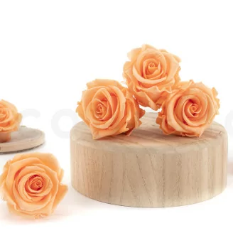 Rose stabilis&eacute;e L P&ecirc;che (x6)