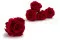 Rosa stabilizzata L Rosso (x6) 7