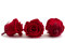 Rose stabilisée Verdissimo L - Boîte de 6 - Red 3