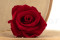 Rose stabilisée Verdissimo L - Boîte de 6 - Red 2
