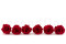 Rose stabilisée Verdissimo L - Boîte de 6 - Red 5