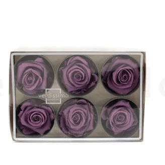 Konservierte Rose L Lila (x6)