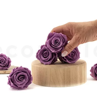 Rosa preservada L Lila (x6)