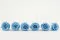 Rose stabilis&eacute;e L Bleu Clair (x6) 6