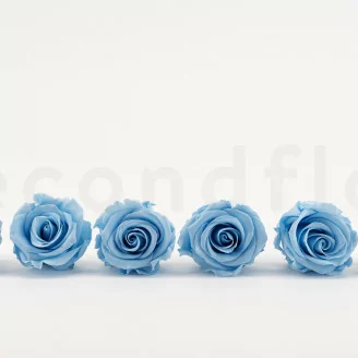 Rosa preservada L Azul Claro (x6)