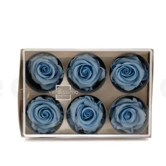 Rose stabilis&eacute;e L Bleu Clair (x6)