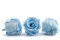 Rose stabilis&eacute;e L Bleu Clair (x6) 4