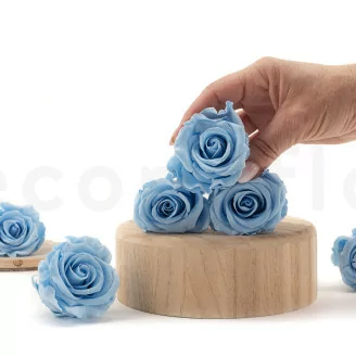 Rosa preservada L Azul Claro (x6)