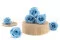 Konservierte Rose L Hellblau (x6) 2