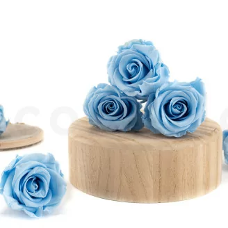 Rosa preservada L Azul Claro (x6)