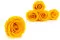 Rose stabilis&eacute;e L Warm Yellow (x6) 7