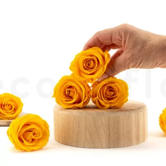 Preserved Rose L Warm Yellow (x6)