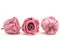 Konservierte Rose L Cherry Vintage (x6) 4