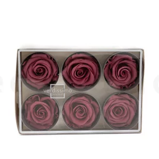 Konservierte Rose L Cherry Vintage (x6)