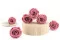 Rosa stabilizzata L Cherry Vintage (x6) 2