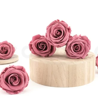 Rose stabilis&eacute;e L Cherry Vintage (x6)