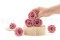 Rosa preservada L Cherry Vintage (x6) 5