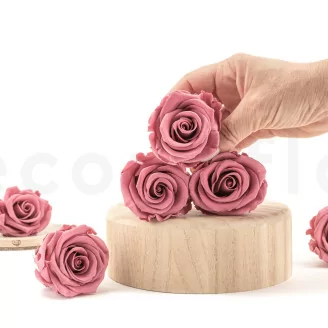 Rosa stabilizzata L Cherry Vintage (x6)