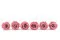 Konservierte Rose L Cherry Vintage (x6) 6