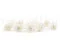 Rose stabilis&eacute;e M Blanc (x12) 6