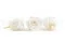 Rose stabilis&eacute;e M Blanc (x12) 4