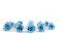 Rose stabilis&eacute;e M Bleu Clair (x12) 6